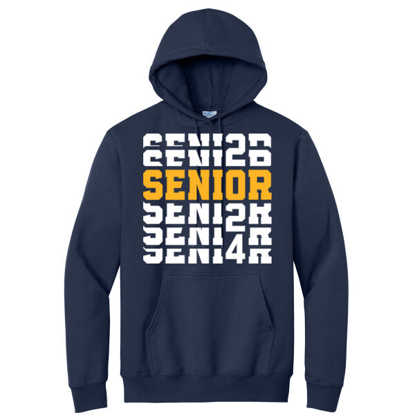 DWSA Senior 2024 Hoodie Thumbnail
